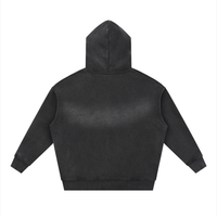 PRO HOODIE 003
